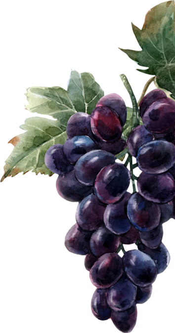 grape-4-e1567596353974